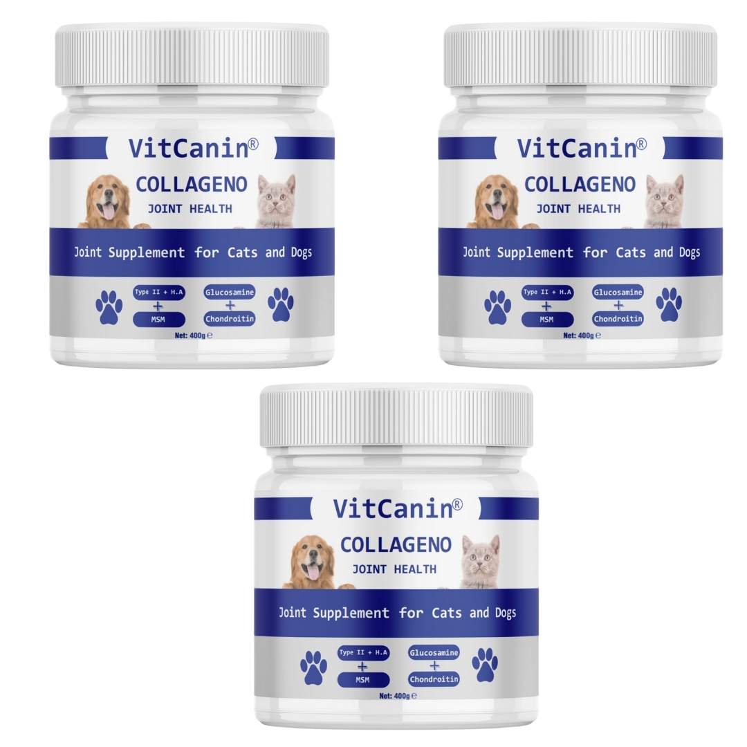 VİTCANİN COLLAGENO 400 GR X 3 ADET