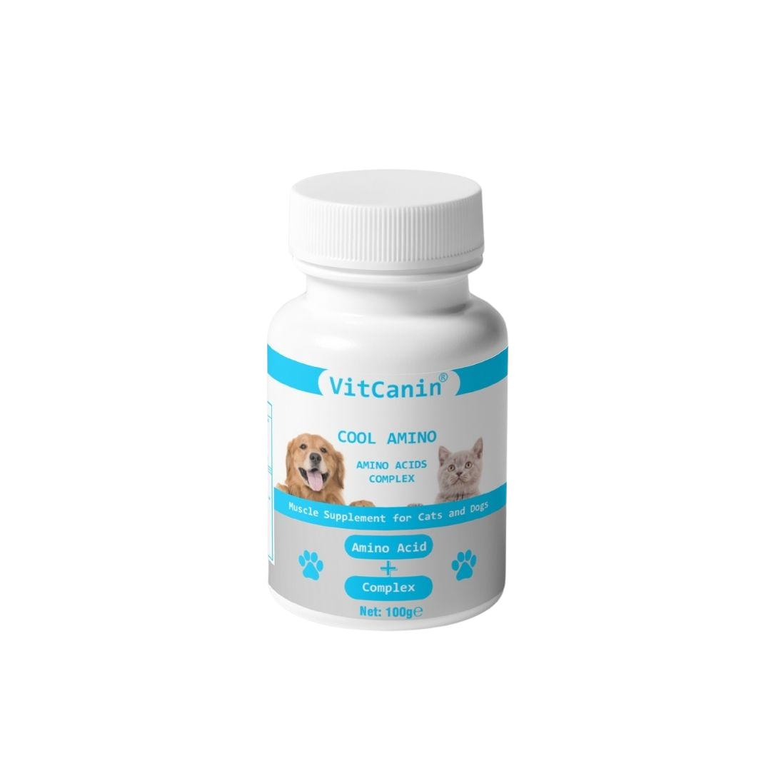 Vitcanin  COOL AMİNO 100 GR